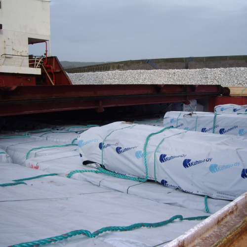 cargosurv.com